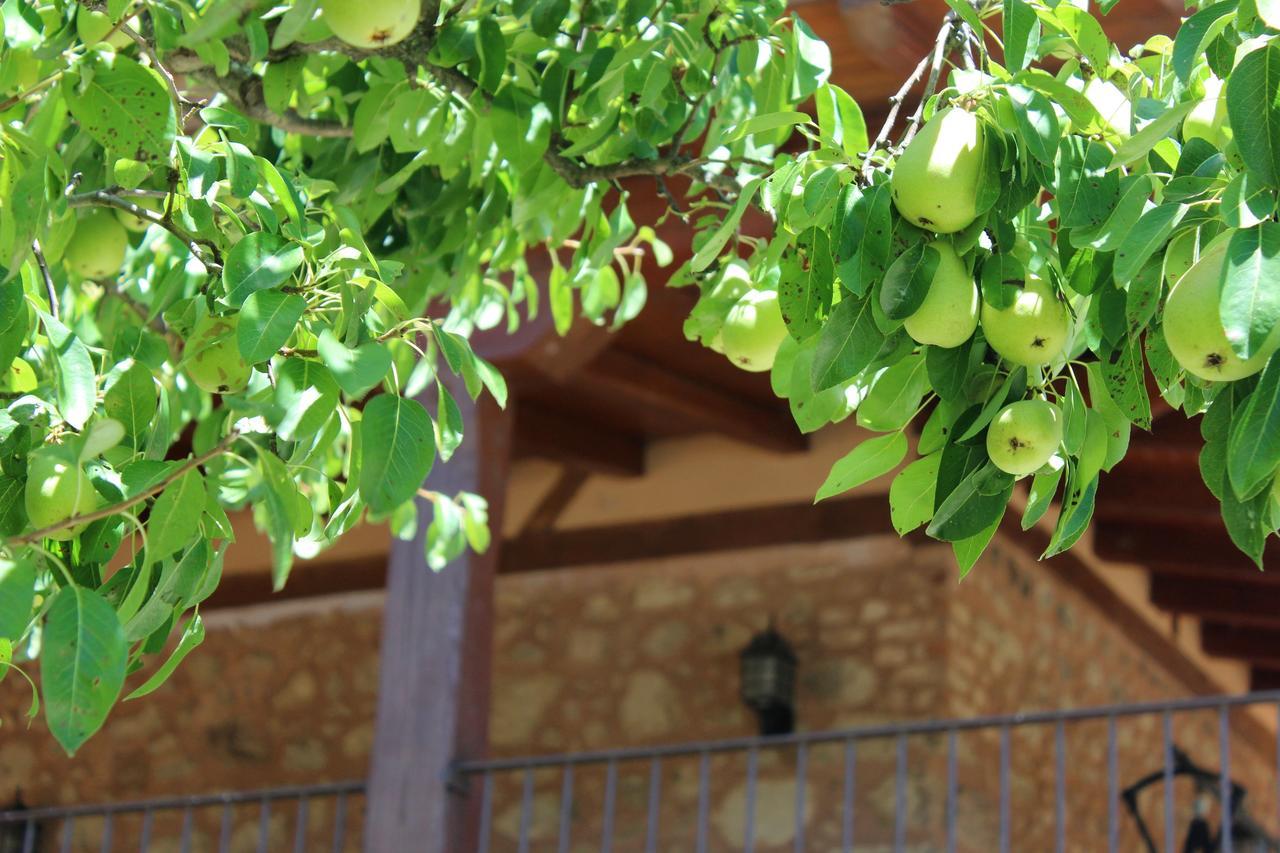 Affittacamere Complejo Rural La Coronilla Jarandilla de la Vera Esterno foto